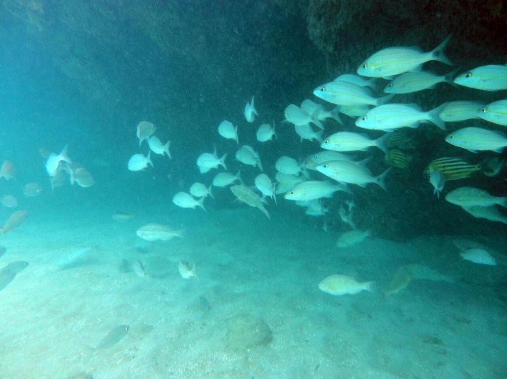 Maceió Kitnet Sabrinna מראה חיצוני תמונה