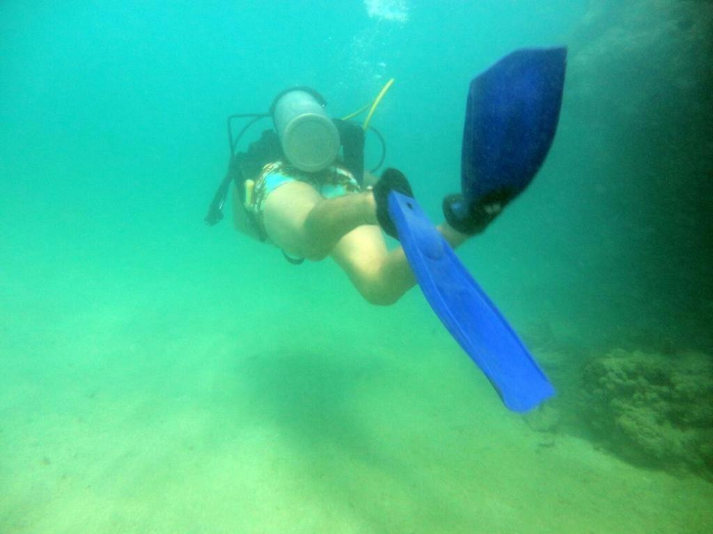 Maceió Kitnet Sabrinna מראה חיצוני תמונה
